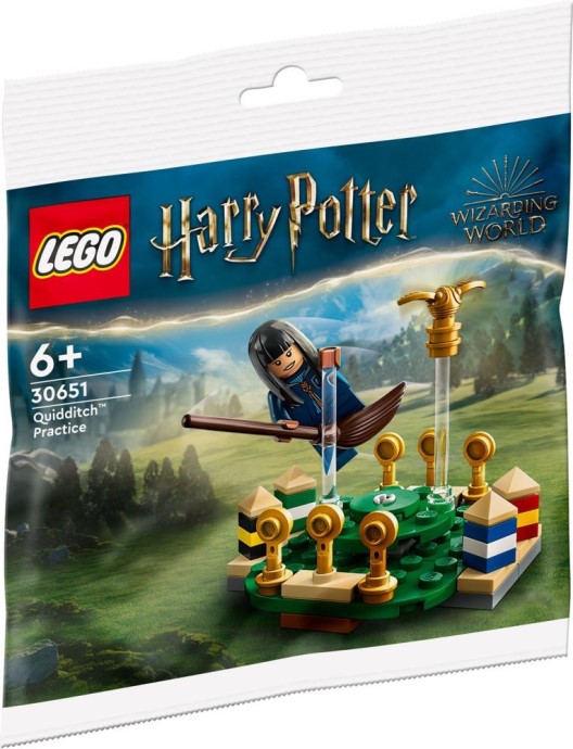 LEGO 30651
