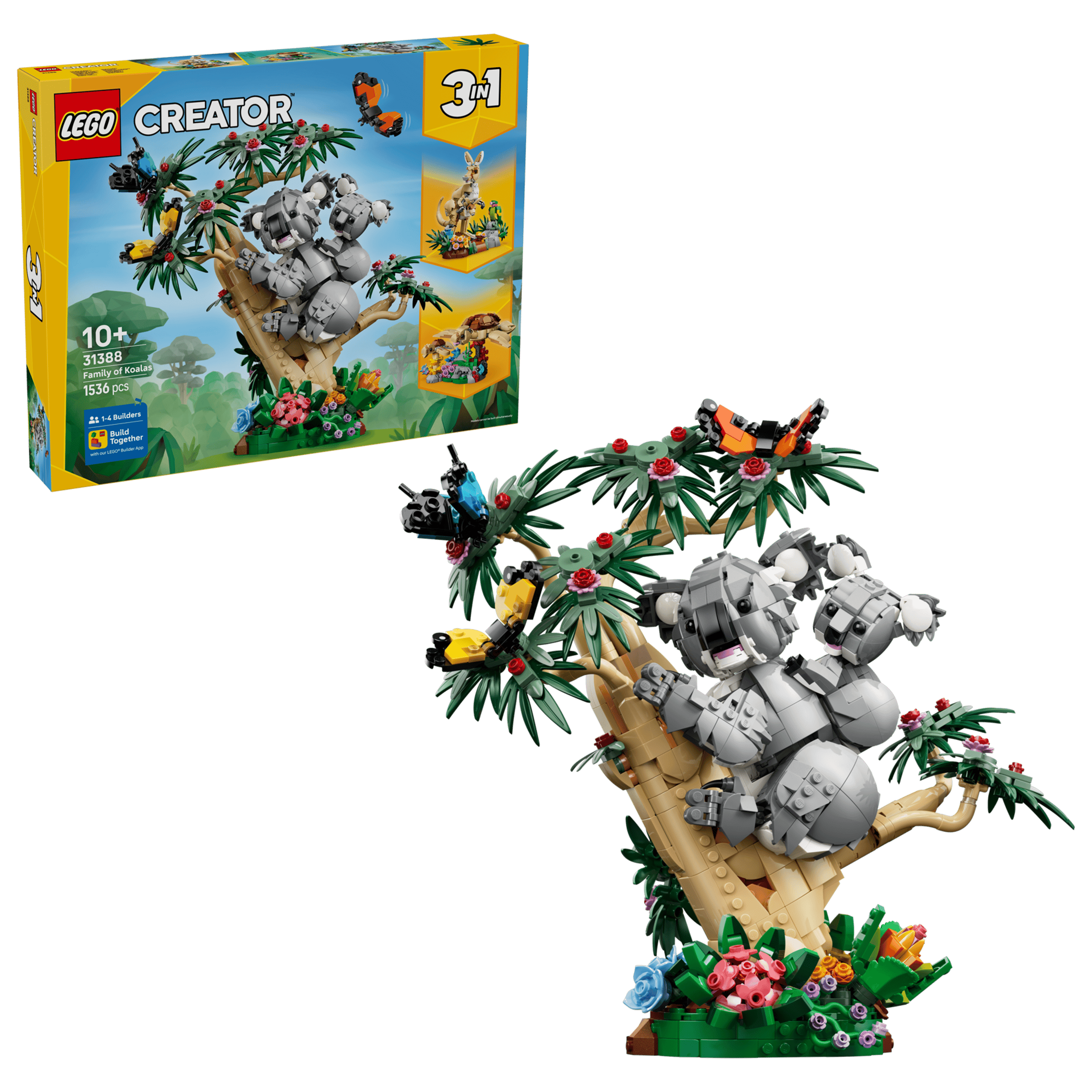 #31388 Family of Koalas